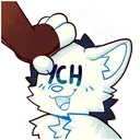 pat ych
