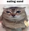 eatting sand