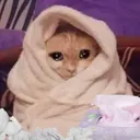 depressedcat