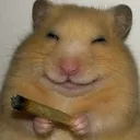 yurr