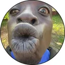 bigblackie