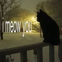 I meow you