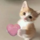 cat hearts