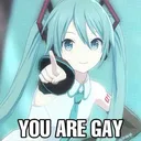 Miku says you’re gay