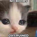 No Boobies .gg/hoookup