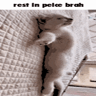 rip