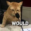 would