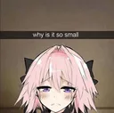 Why is it so small