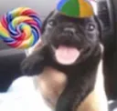 sunshine and rainbows cute hap