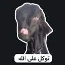 توكل على الله