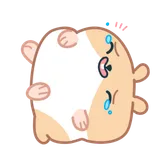 Laugh Laugh