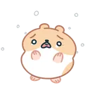 No