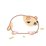 Lazy Lazy