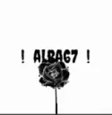 ALBA67 FLOWER