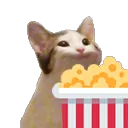 PopCatMunch