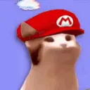 PopCatMario