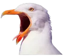 screm