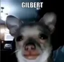 gilbert