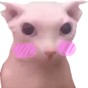Bingus Blush