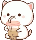 Cat Boba Drink