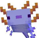 Axolotl