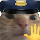 Gato policia STOP