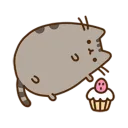 muffin_p