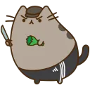 eltonasacat