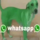 whatsappdog