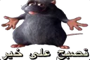 Allah rat