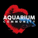 Aquarium Community 