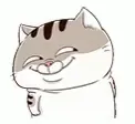 Cat weird smile