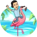 mattia flamingo
