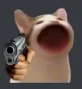 Popcat Gun