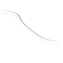 A Single Strand of Hair