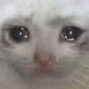 fine-sad