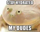 stay hydrated