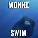 Monke Swim