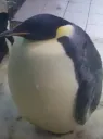 hhhh
