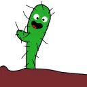 CactusMano