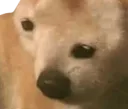 Oh Dorg