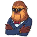 Chewie Cool Sunglasses