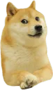 OHT Doge