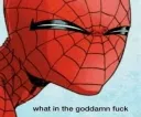 Whatinthefuck