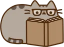 book_p
