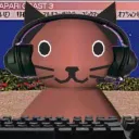 SAPARi Cat Gamer