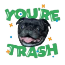 pug trash