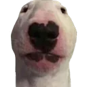 kewiyBRUH