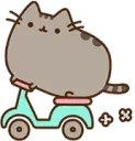 speedycat
