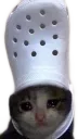 Corc